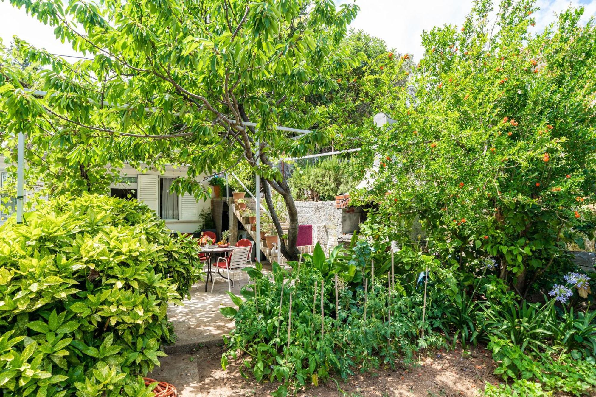 Apartments Zarac Dubrovnik Quarto foto